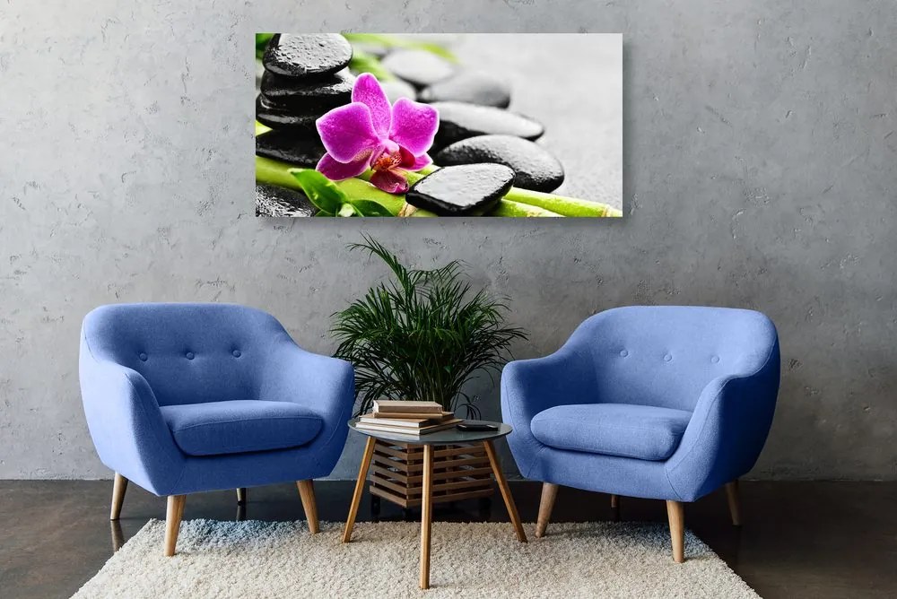 Quadro su tela – Natura morta per il benessere con orchidea viola