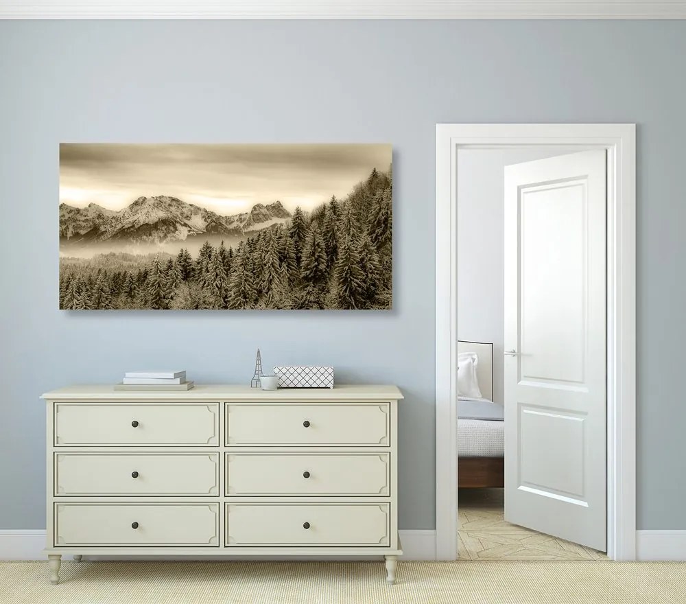 Quadro su tela – Montagne congelate in seppia