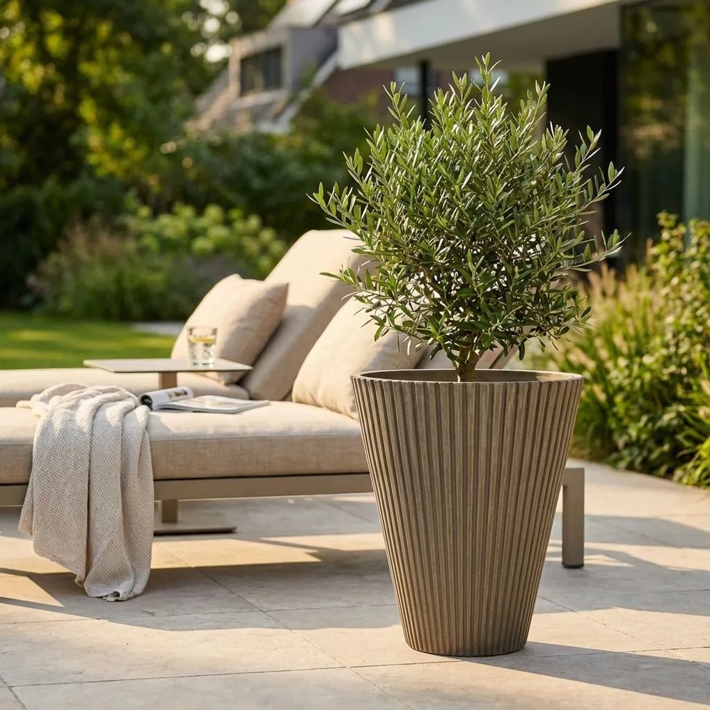 MERCEDES - vaso grande