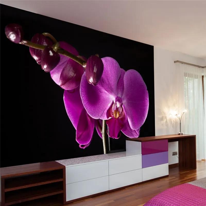 Fotomurale elegante orchidea