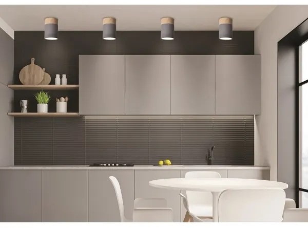 Plafoniera TUBA GU10/15W/230V