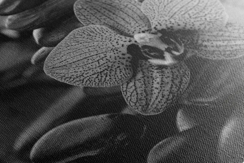 Stampa su tela – Orchidea e pietre Zen in bianco e nero