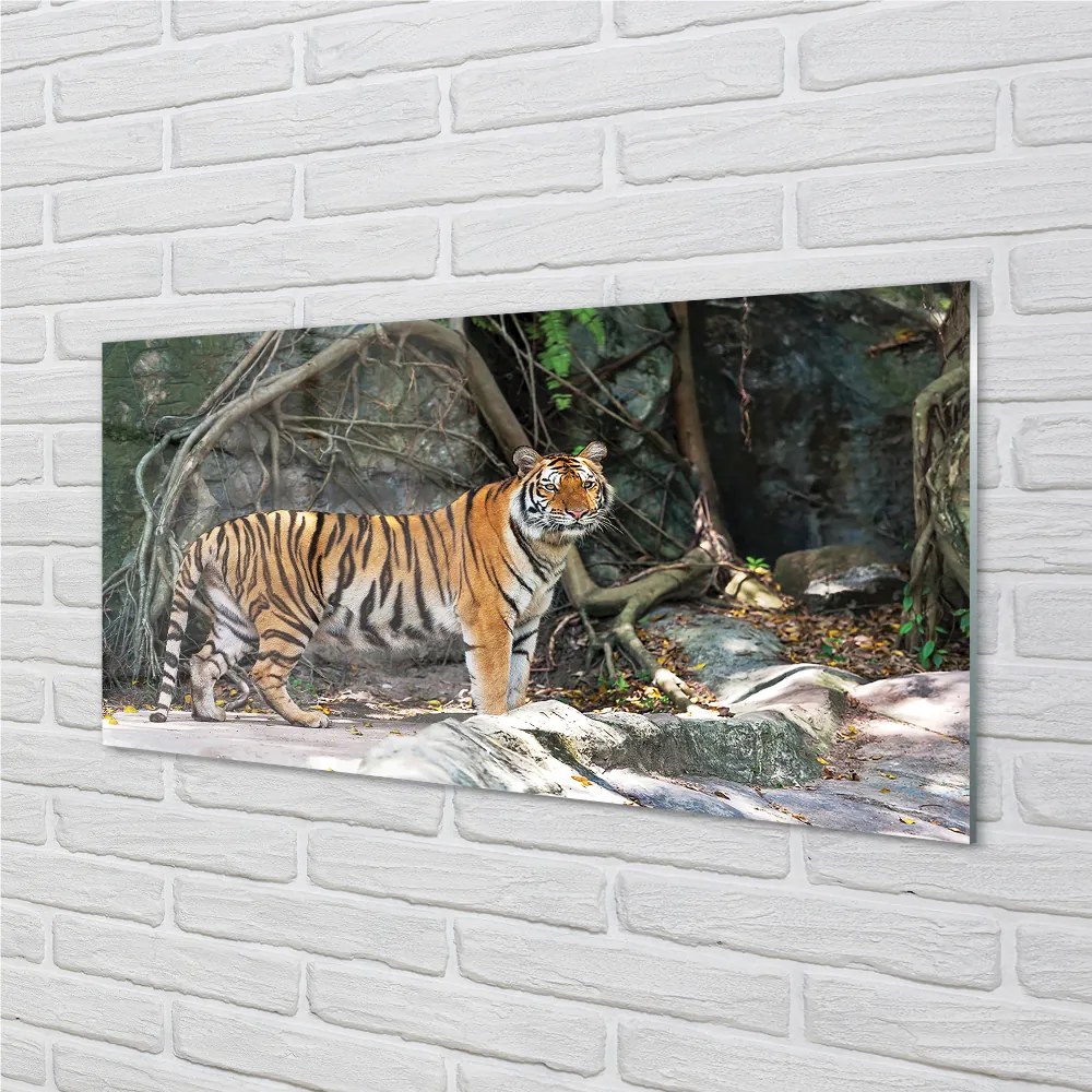 Quadro su vetro acrilico Jungle Tiger 100x50 cm