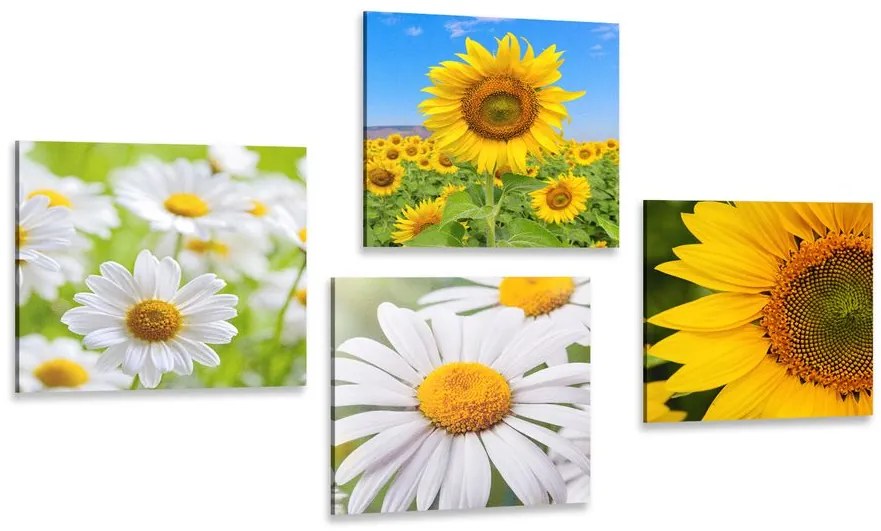 Set di quadri – Splendidi fiori nel prato
