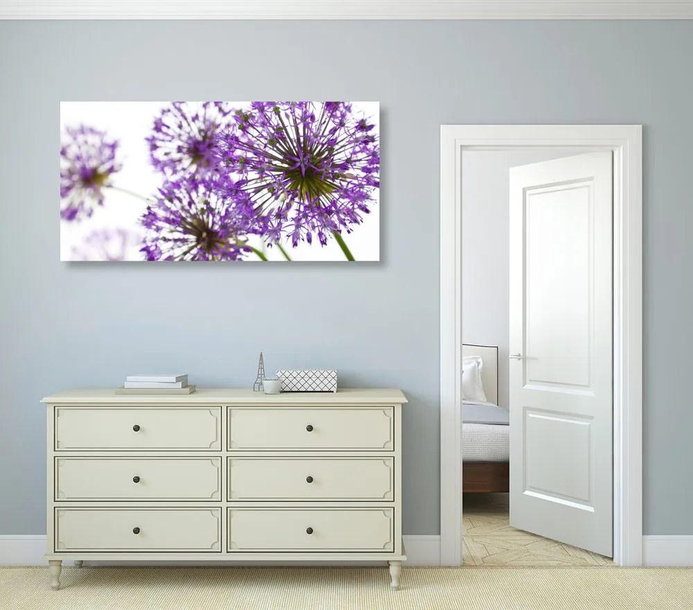 Stampa su tela – Fiori di aglio viola in fiore