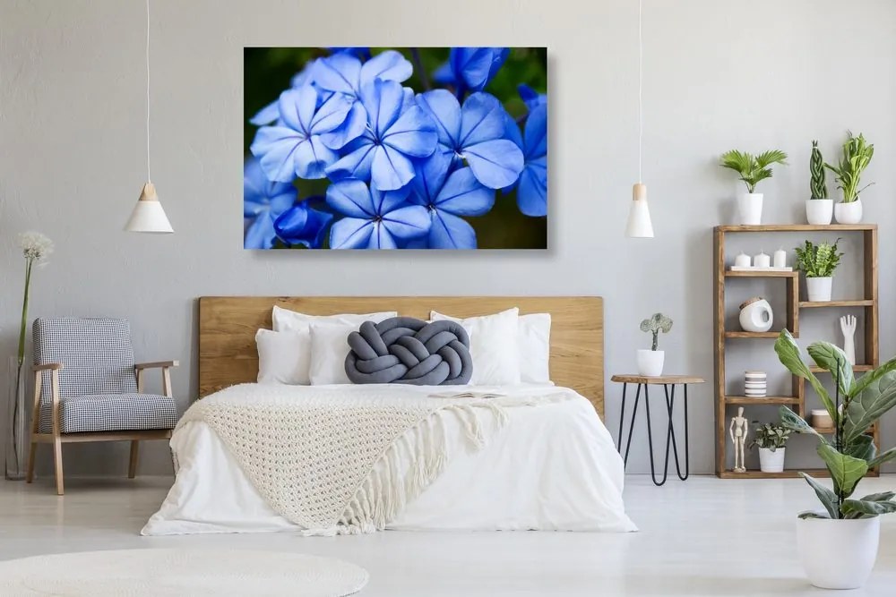 Quadro su tela – Fiori blu selvatici