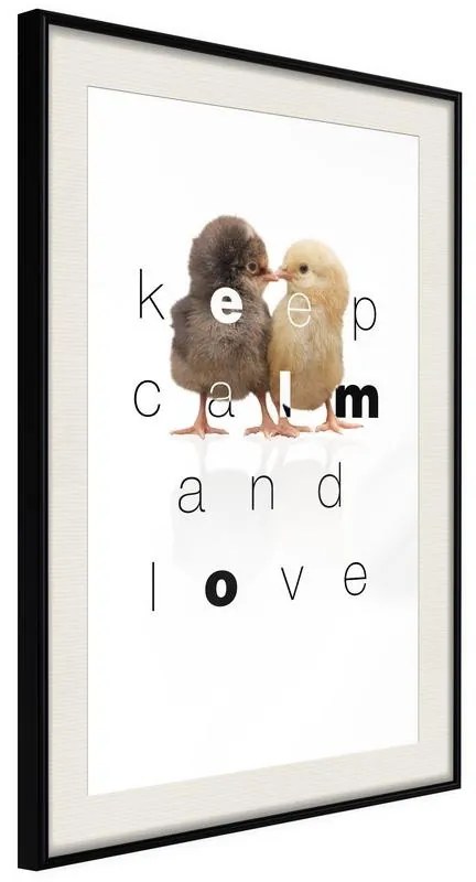 Poster  Cute Chicks  Cornice Quadri Cornice nera con pass-partout, Larghezza x Altezza Home decor 20x30