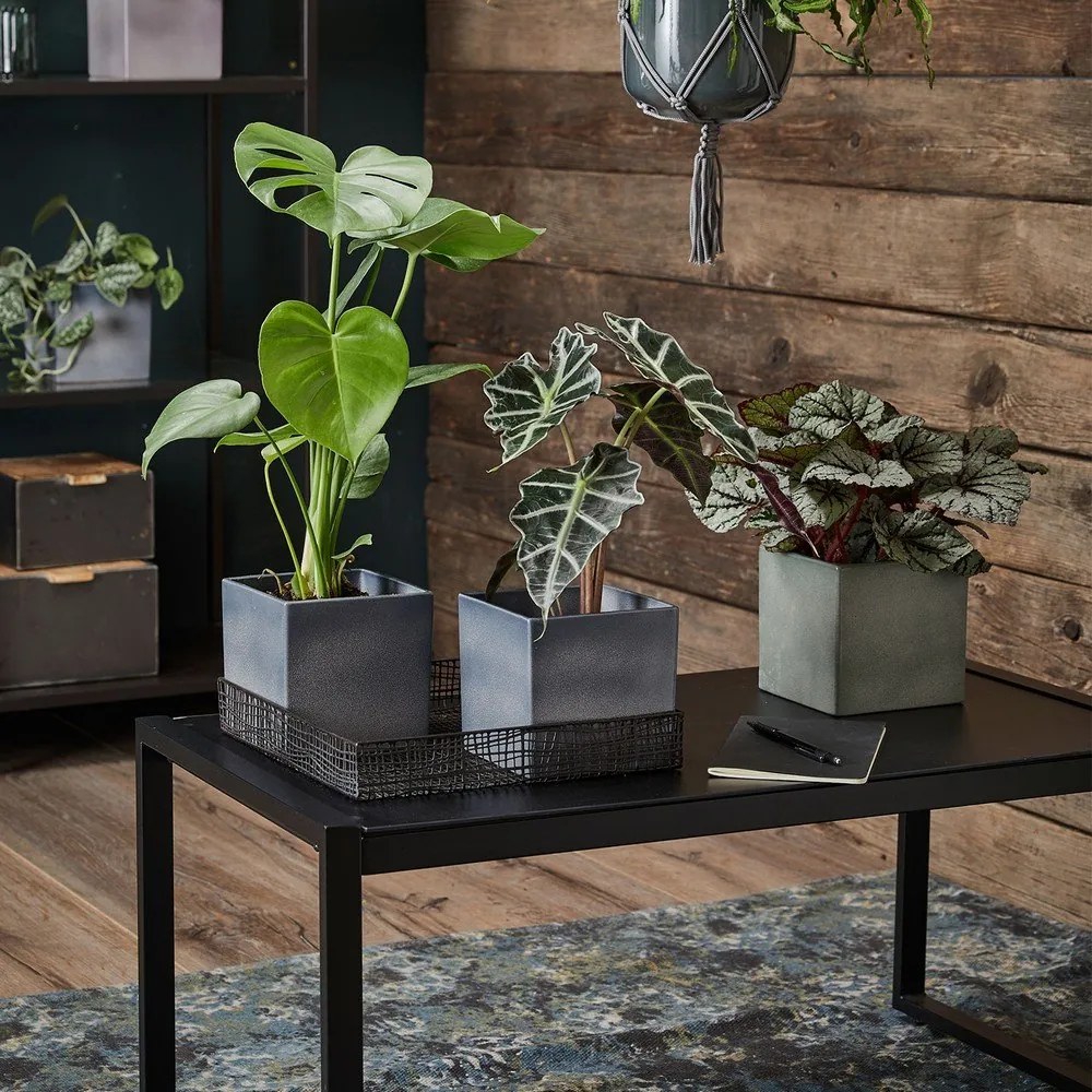 Coprivaso in ceramica Latina - Big pots