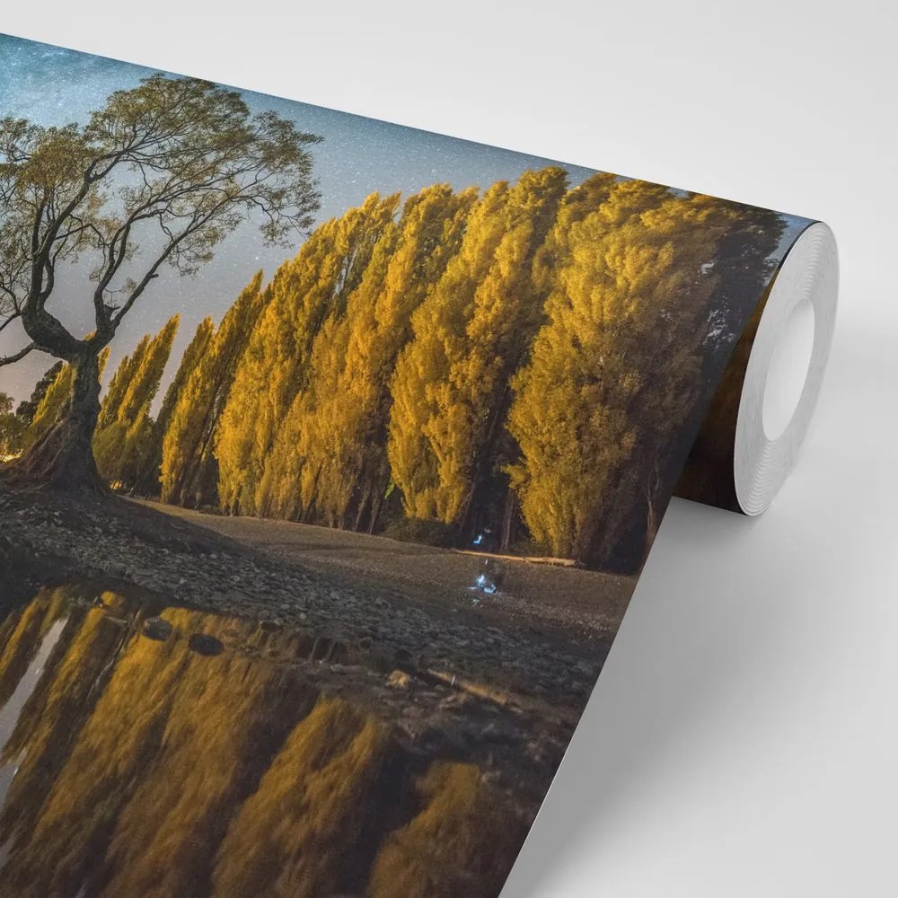 Fotomurale – Albero sotto il cielo stellato