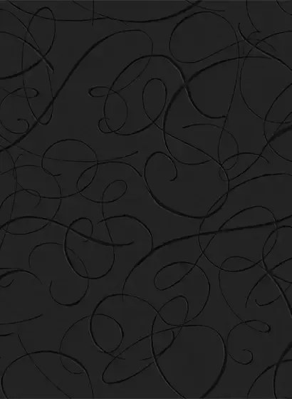 Moooi for Arte Carta da parati Calligraphy Bird - MO2011 - Midnight