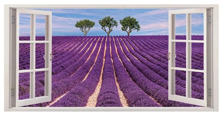 Stampa su tela Finestra lavanda, viola 70 x 140 cm