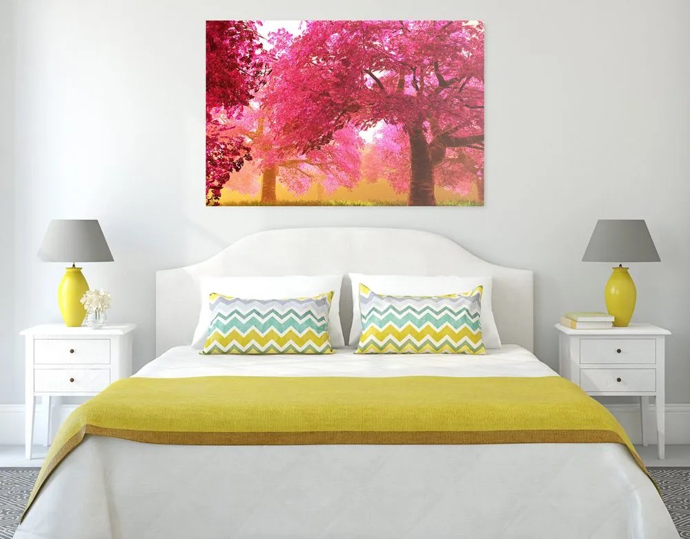 Quadro su tela – Magici alberi di ciliegio in fiore