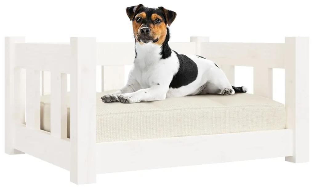 Cuccia per cani bianca 55,5x45,5x28cm in legno massello di pino