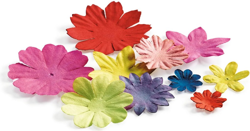 Gioco creativo - Frida Kahlo - Coyoacán