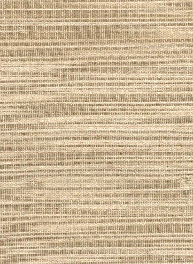 CMO Paris Carta da parati Abaca Dense - Miel