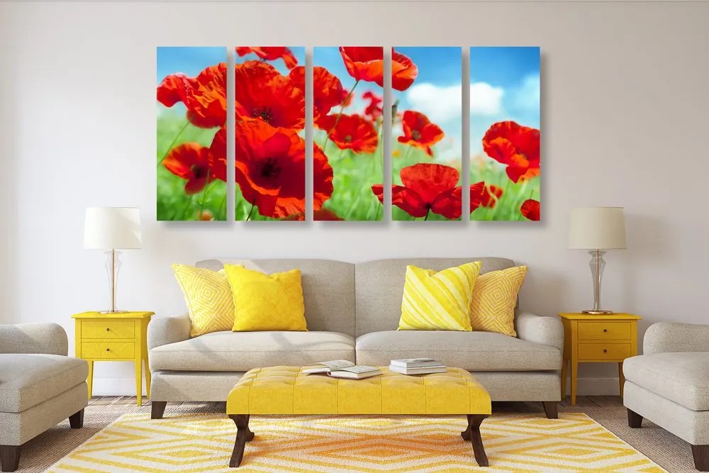 Quadri 5 pezzi – Fiori di papavero nel prato