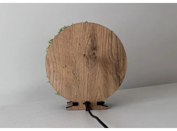 Li-Go 23625/DUB2 - Lampada da tavolo dimmerabile a LED, 12W/230V, 20x22 cm, rovere