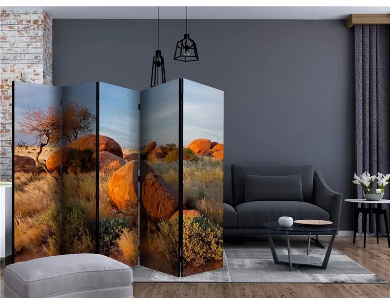 Paravento African landscape, Namibia II [Room Dividers]