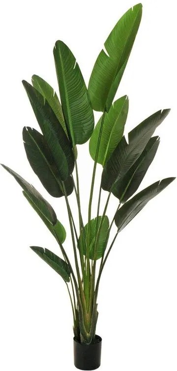 Pianta artificiale Strelizia in vaso di plastica H 210 cm ø 18 cm