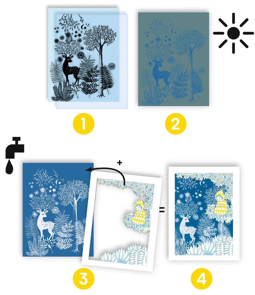 Set creativo - Cianotipia - Al chiaro della luna