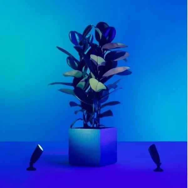 WiZ - LED RGBW Faretto da esterno dimmerabile SPOT LED/4W/12V IP65 Wi-Fi