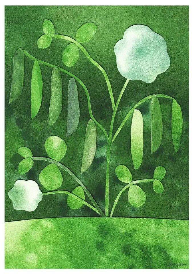 Poster 50x70 cm Peas in Bloom – Anna Ravn Bjørn – The Poster Club