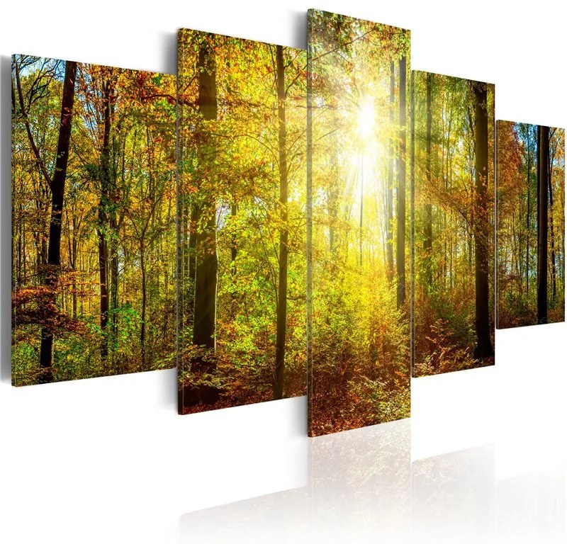 Quadro Mystical Forest  Colore Marrone, Dimensioni e Misure 100x50