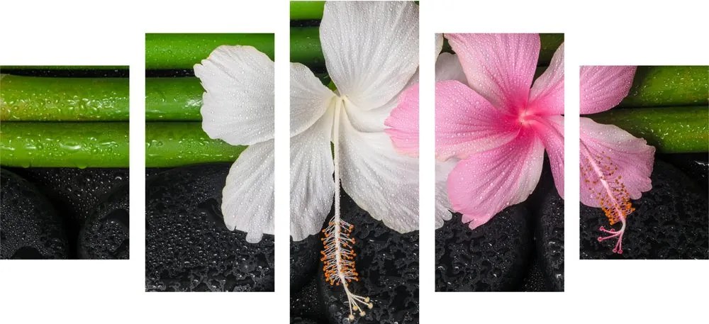 Quadri 5 pezzi – Natura morta benessere
