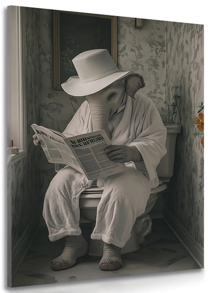 Stampa su tela – Elefante con giornale in bagno