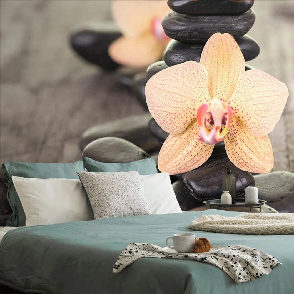 Carta da parati – Orchidee e pietre Zen