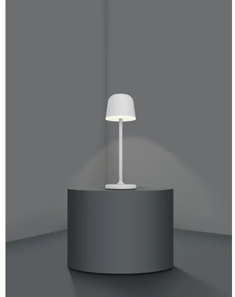 Eglo 900458 - Lampada LED dimmerabile esterna MANNERA 2,2W/5V 1800mAh grigia IP5