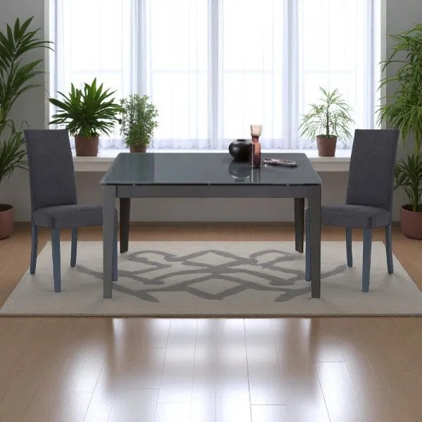 Sedia da pranzo in tessuto Antracite DENVER - Set 2