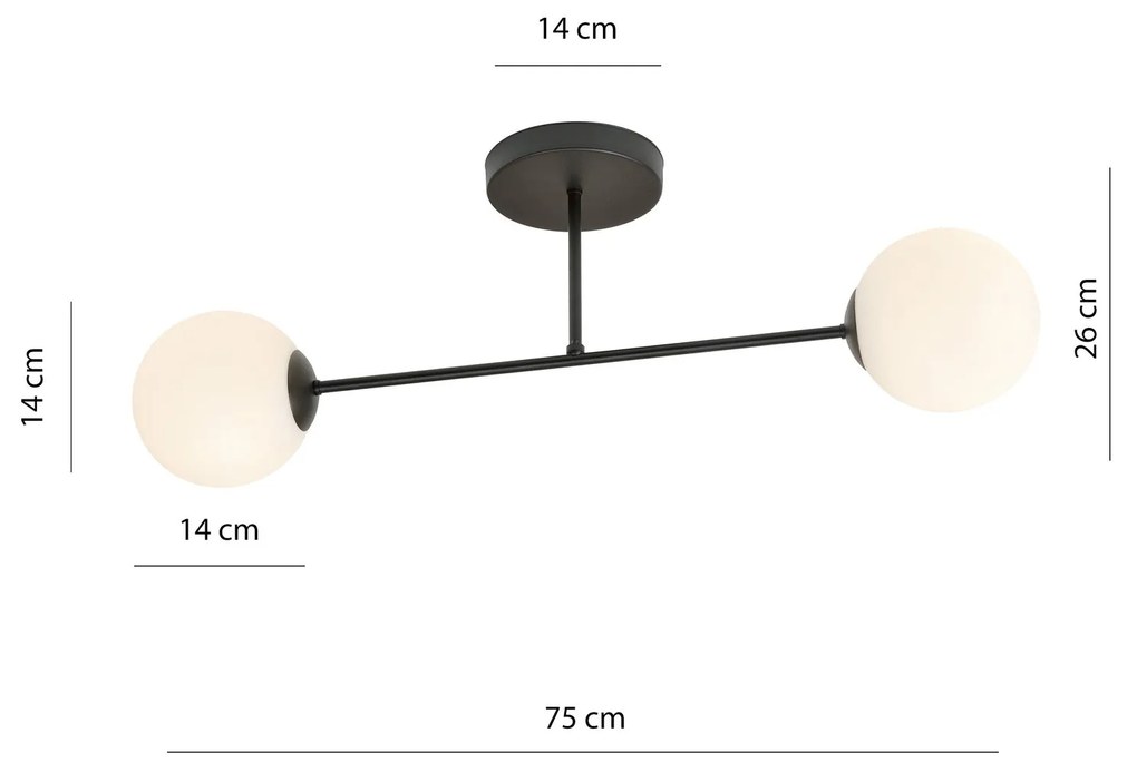 Plafoniera Moderna Roma 2 Luci In Acciao Nero E Sfere In Vetro Bianco