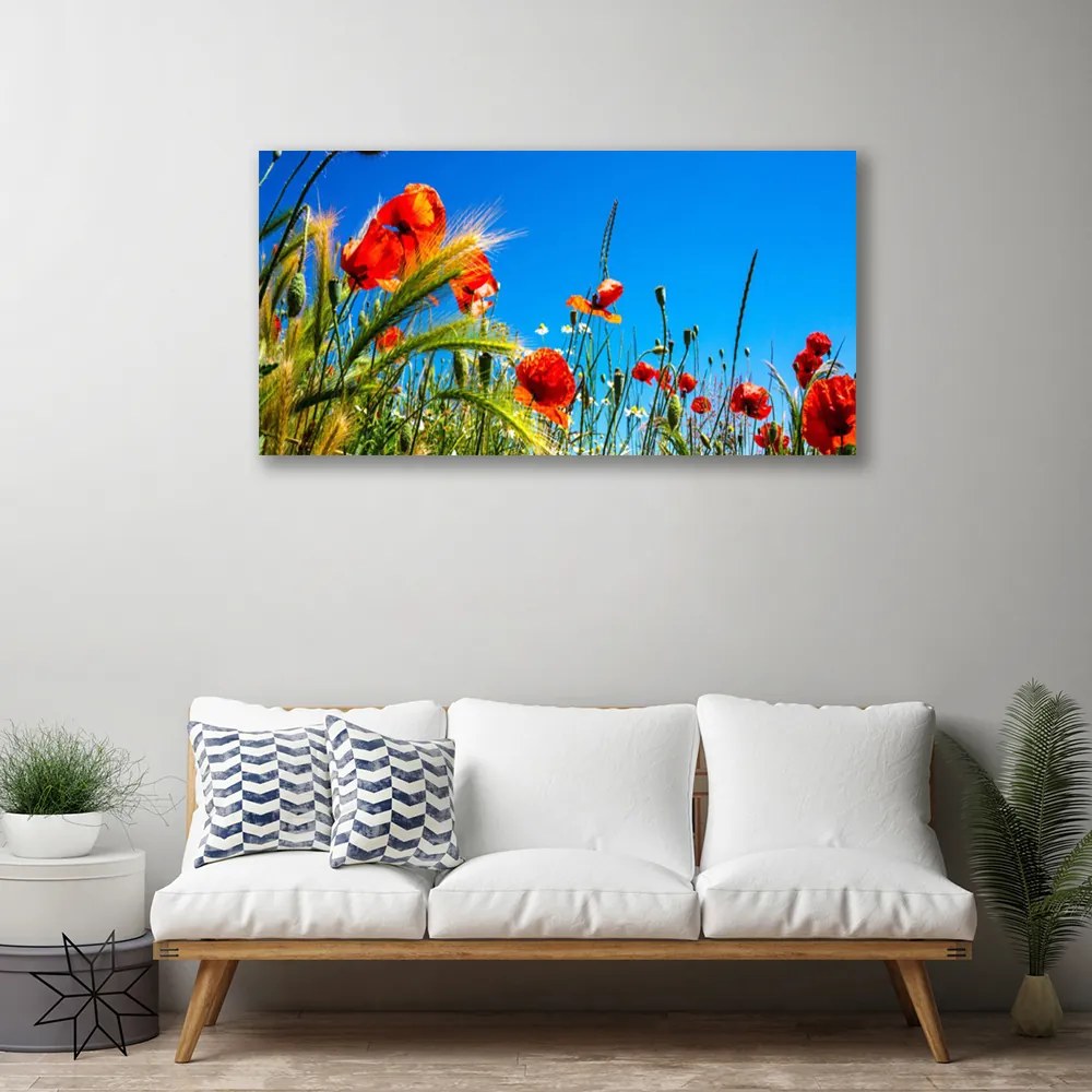 Stampa quadro su tela Papaveri Fiori Campo Di Erba 100x50 cm