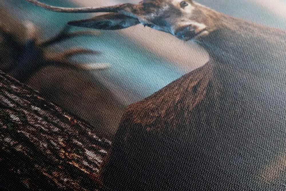 Quadro su tela – Cervo nel bosco