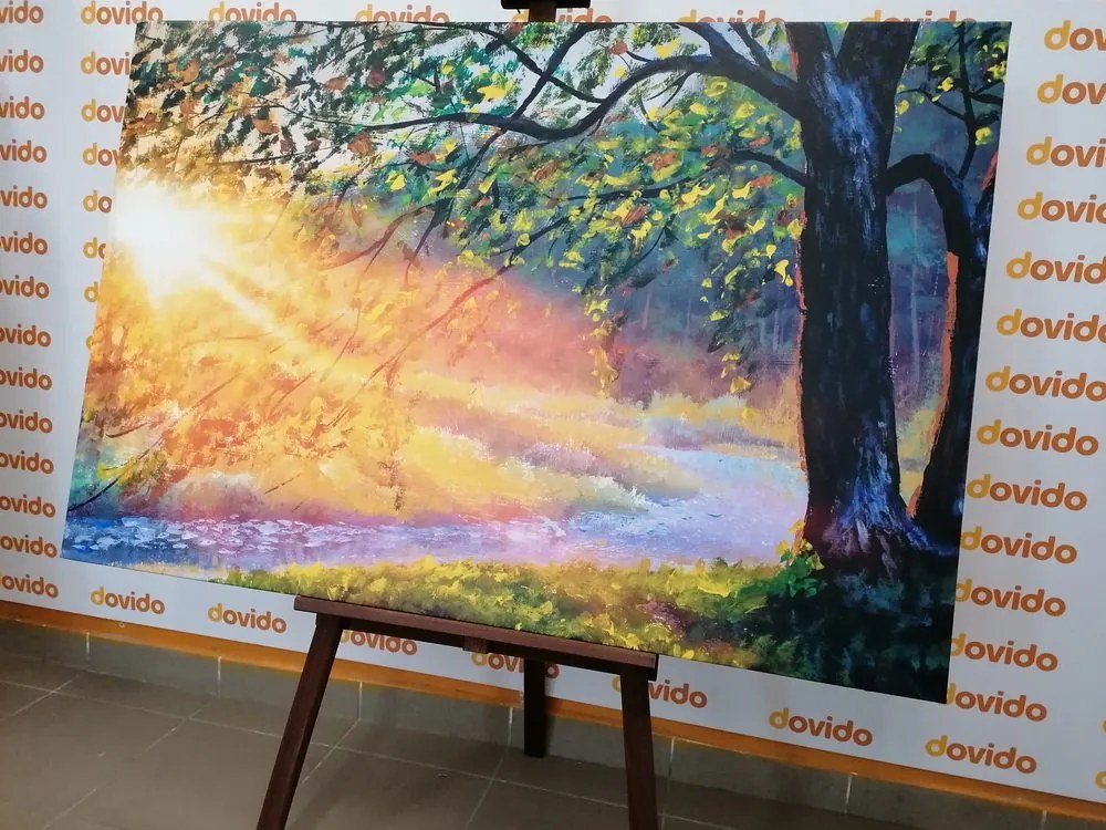 Quadro su tela – Alba nel bosco