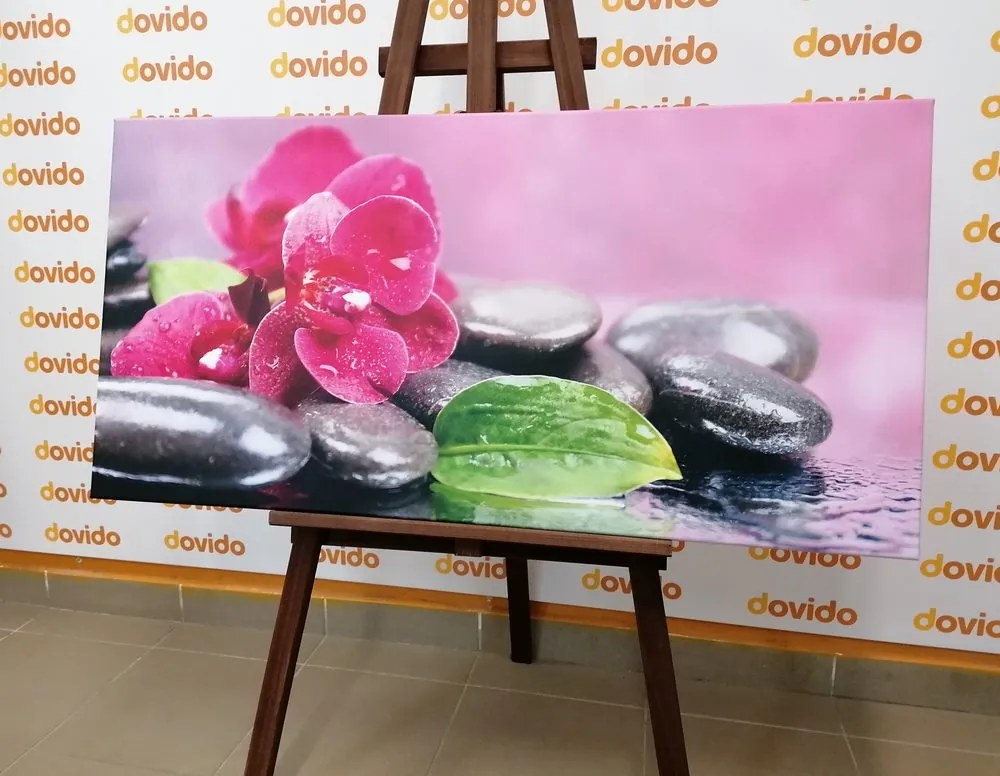 Stampa su tela – Orchidea con tocco di relax