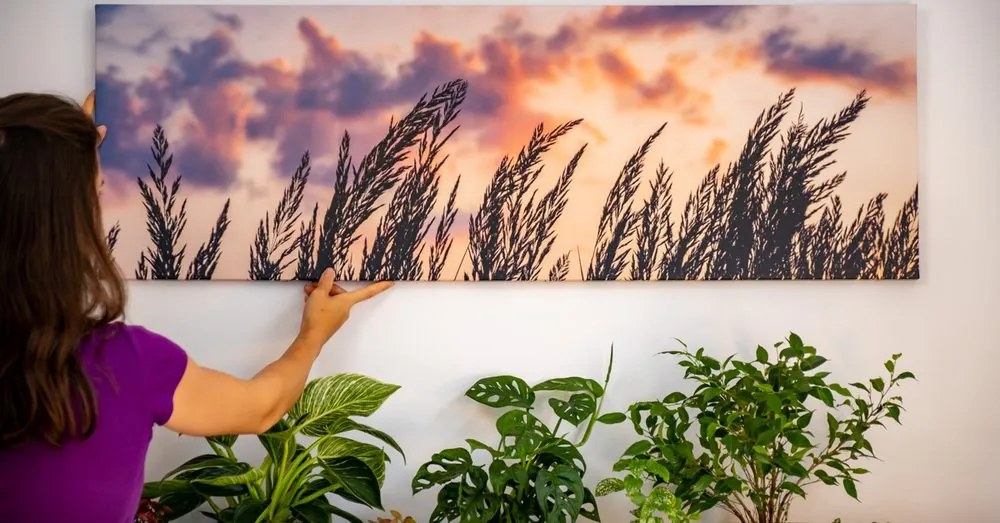 Quadro su tela – Spighe di erba lunga