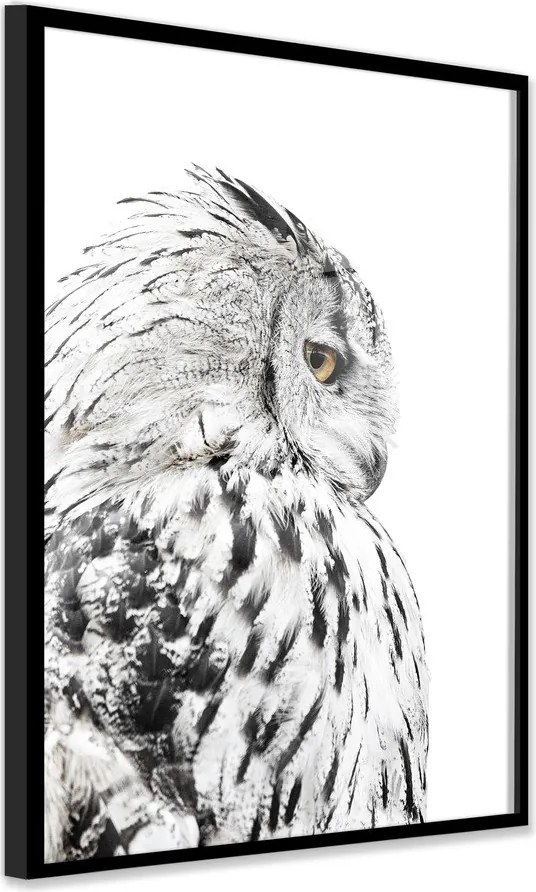 Dipinto 50x70 cm Owl – Styler
