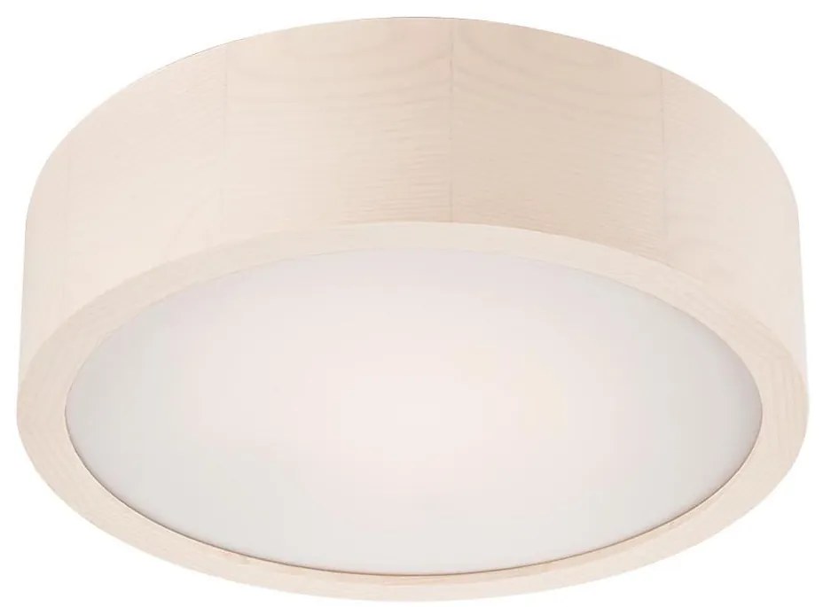 Plafoniera LED 1x12W/230V