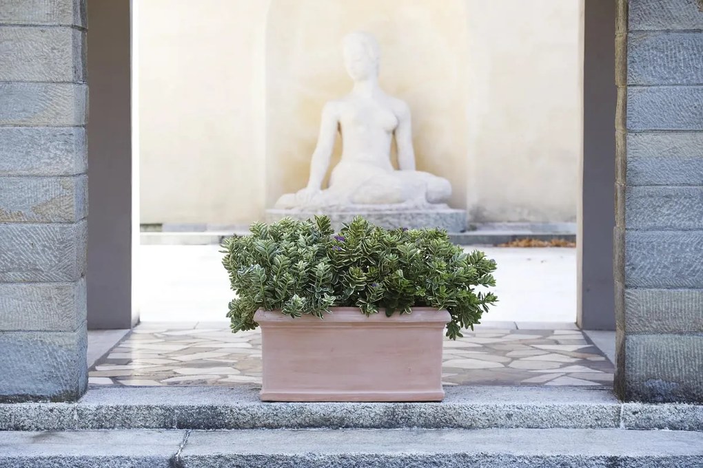 Fioriera LISCIA in terracotta terracotta H 37 cm L 82 x P 37 cm