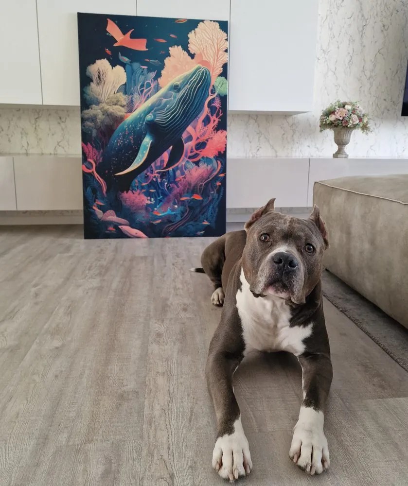 Quadro su tela – Balena surrealista