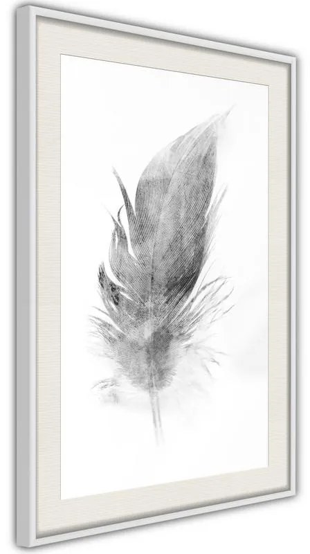 Poster  Lost Feather (Grey)  Cornice Quadri Cornice nera con pass-partout, Larghezza x Altezza Home decor 30x45