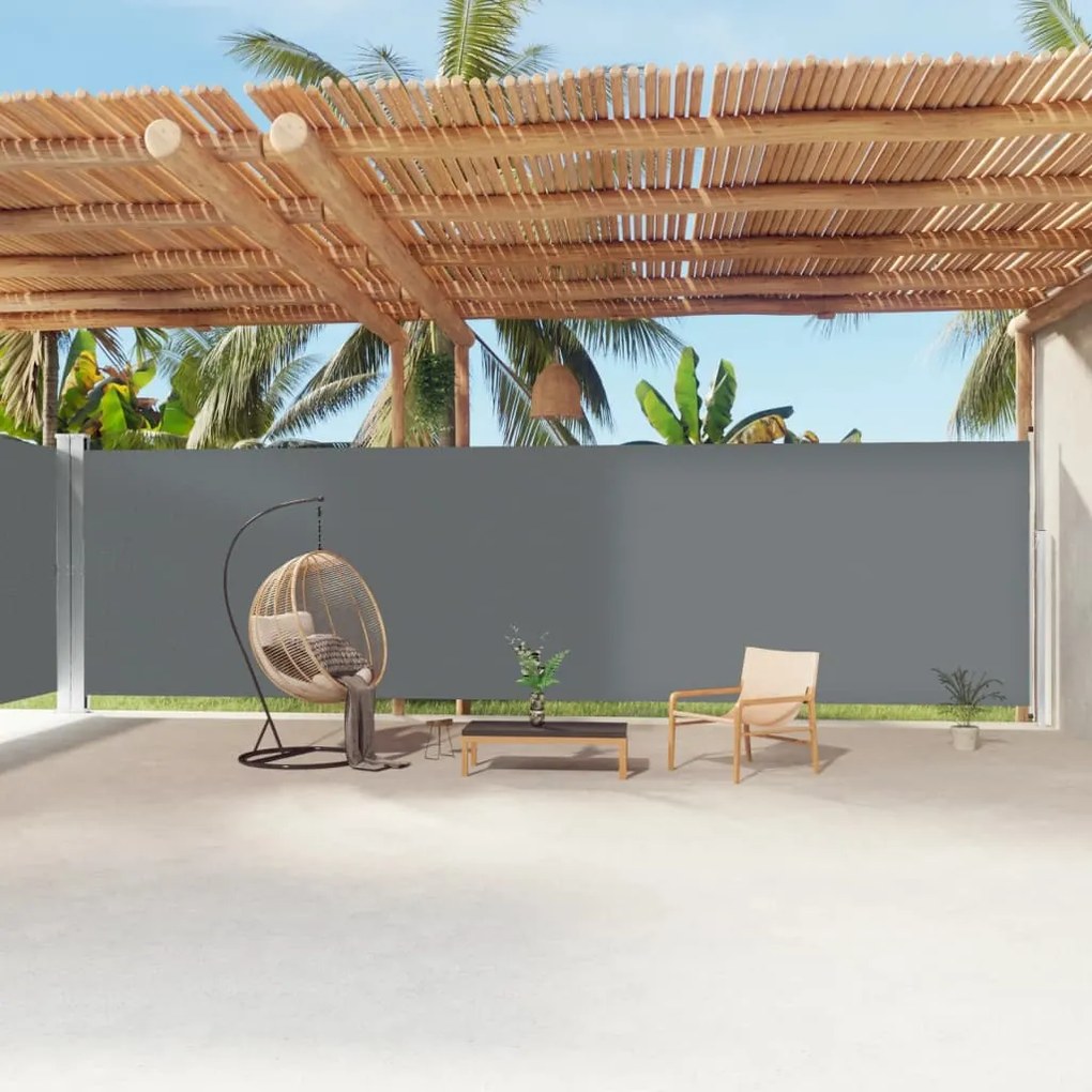 Tenda Da Sole Laterale Retrattile Antracite 220x1200 Cm /