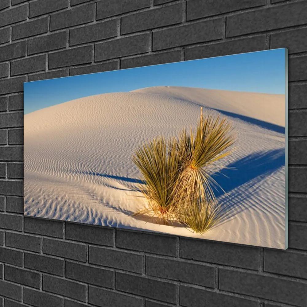Quadro vetro Sabbia per paesaggi del deserto 100x50 cm