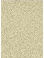 Vinyltapete Mosaic von Zoffany - Fossil