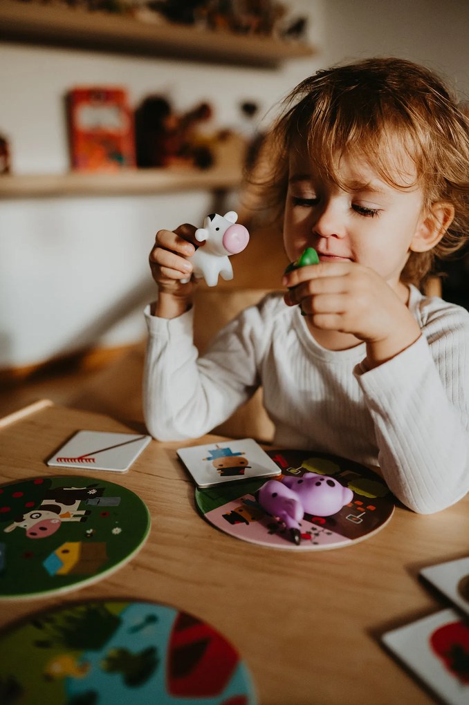 Dove e come vivono gli animali?