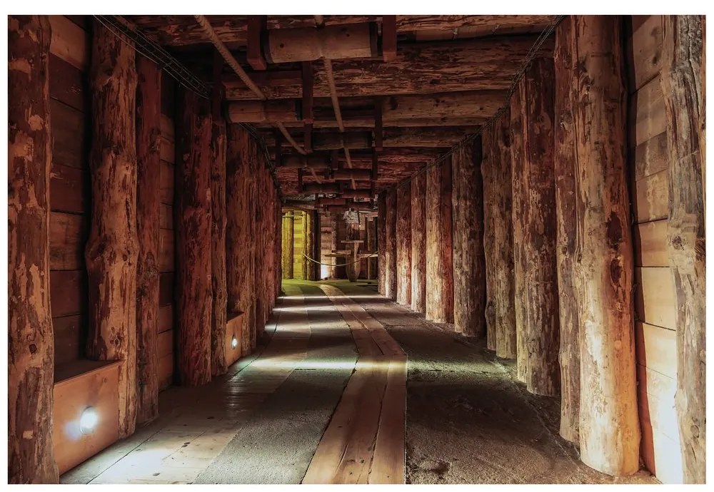 Carta da parati – Galleria di legno