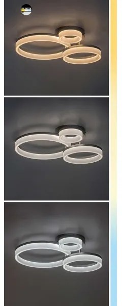 Rabalux 71383 - Plafoniera LED AMILIA LED/24W/230V 3000/4000/6500K oro