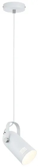 Paulmann 79767 - LED RGBW 1xE27/9W Lampada a sospensione su cavo LAVEA 230V bianco